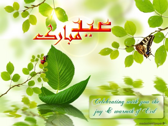 eid-greeting-cards-2012-images-photos-love-flower-eid-mubarak-cards-5