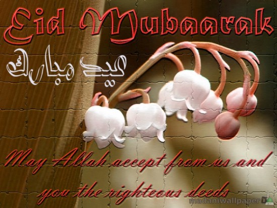 eid-greeting-cards-2012-pictures-photos-image-of-eid-card-5