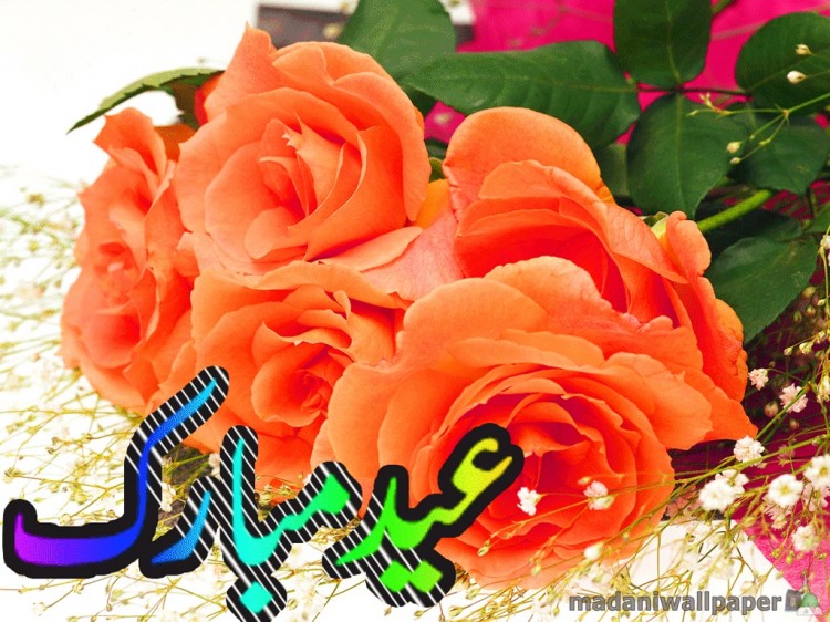 love-eid-greeting-cards-2012-pictures-photos-image-of-eid-card-3