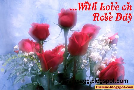Valentines-Day-Animated-Greeting-Cards-Pictures-Valentine-Love-Rose-Flower-Cards-Happy-Valentines-Cards-Photos-9