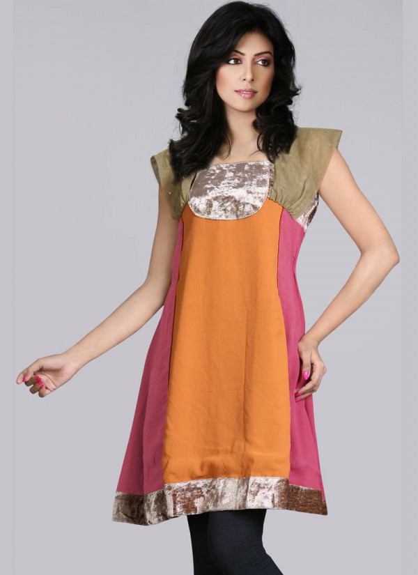 Indian-Trendy-Style-Tunic-Kurti-Designs-2013-Indian-Tunic-Kurti's-Fashionable-Dress-