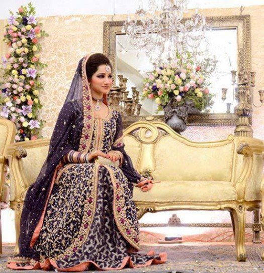 Beautiful-Indian-Pakistani-Girls-Bridal-Walima-Dresses-Trend-2013-2014-2