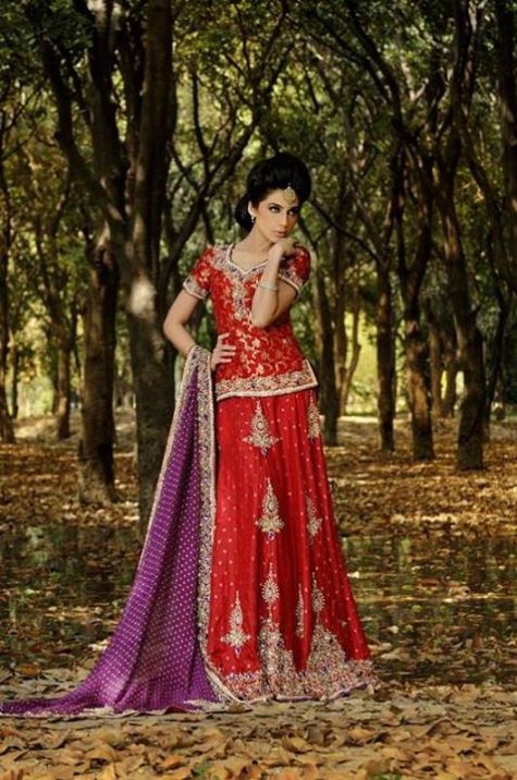 Beautiful-Indian-Pakistani-Girls-Bridal-Walima-Dresses-Trend-2013-2014-4