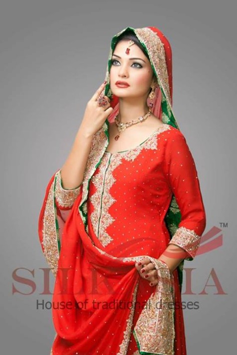 Beautiful-Indian-Pakistani-Girls-Bridal-Walima-Dresses-Trend-2013-2014-5