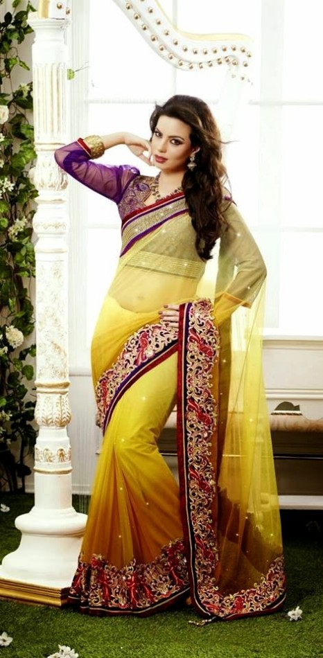 Bridal-Wedding-Rich-Heavy-Embroidered-Sarees-Designs-Lehanga-Style-Fancy-Sari-New-Fashion-16