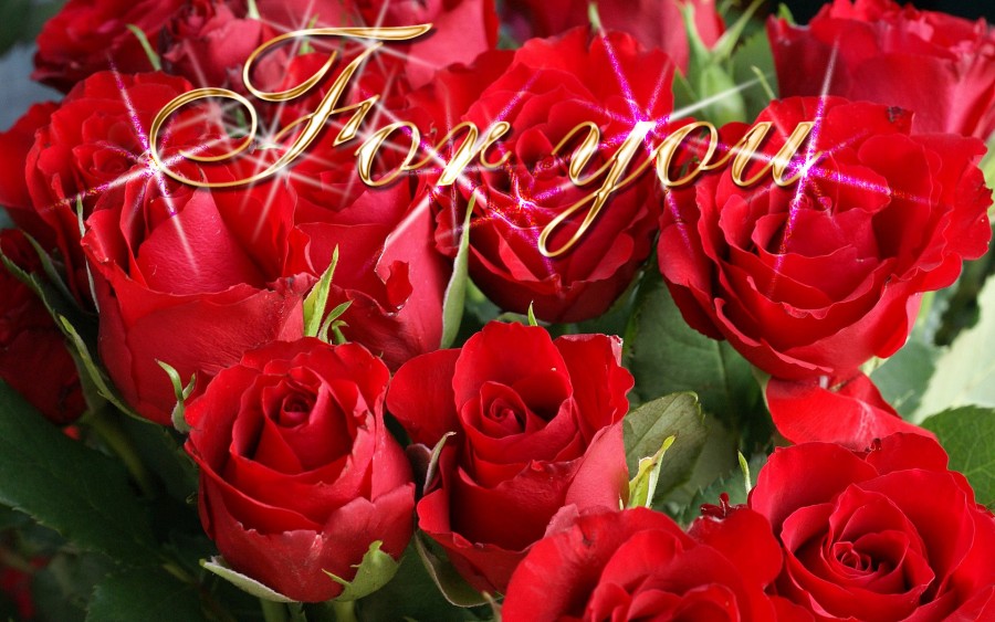 Happy-Valentine,s-Day-ECards-Pictures-Valentine-Rose-Flower-Card-For-Love-You-Him-Her-Photo-4