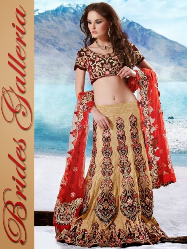 Indian-Bridal-Wedding-Lehangas-Velvet-Embroidered-Blouse-Fish-Cut-Lehenga-by-Brides-Galleria-2
