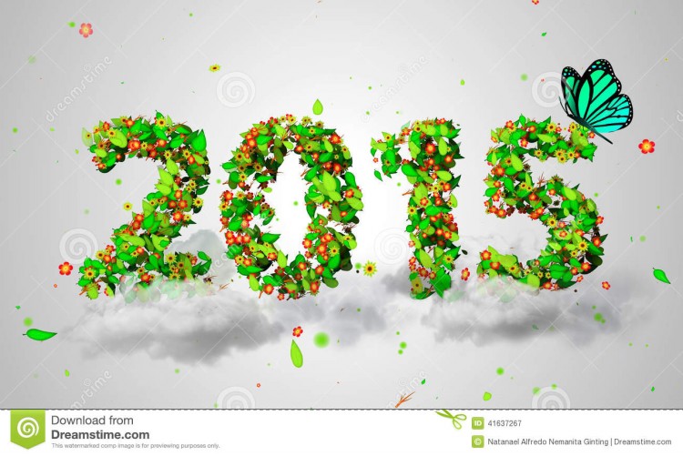 Happy-New-Year-Greeting-Cards-Designs-2015-Wallpapers-New-Year-Card-Pictures-Eve-Images-4