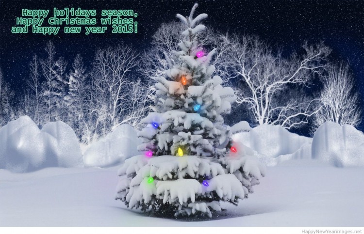 Happy-New-Year-Merry-Christmas-3D-Animated-Greeting-Cards-Designs-HD-HQ-Wallpapers-Images-14