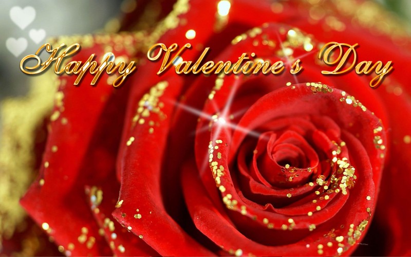 Red Rose-Flower Valentine,s Day Greeting Cards Designs Photos-Happy-3D-Animated Valentine,s  Cards Images 2015-1