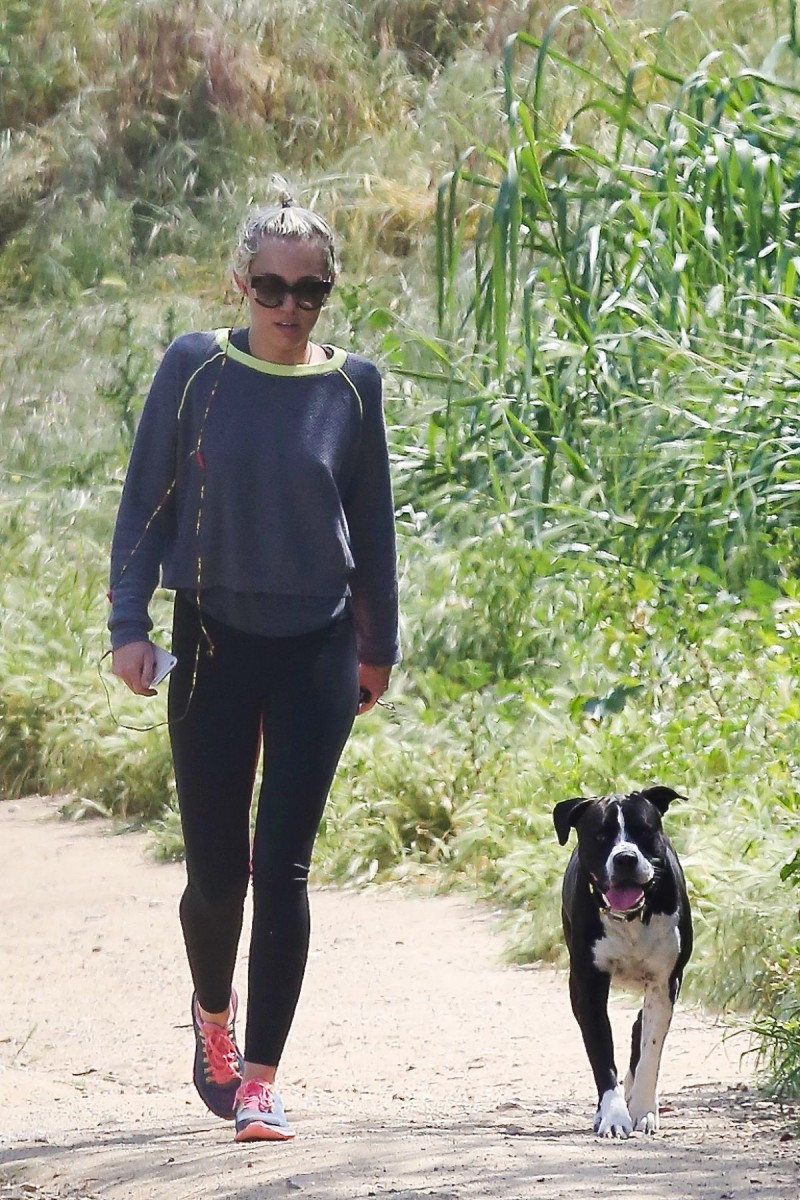 Miley Cyrus Out Hiking in Hollywood Hills HD Wallpapers-7