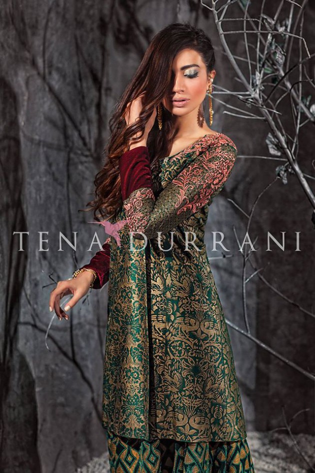 Winter Wedding-Bridal Wear New Fashion Dress for Ladies-Girls-Women by Tena Durrani-6